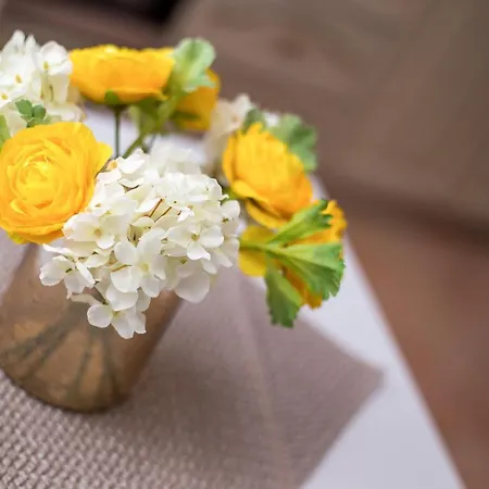 度假居 Kamara Antica